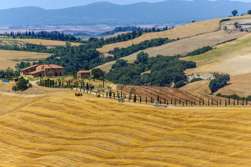 D农厂orcia val的托斯卡纳 库存照片. 图片 包括有 地产, 水平, 没人, 布琼布拉, 晴朗, 农村 23872222