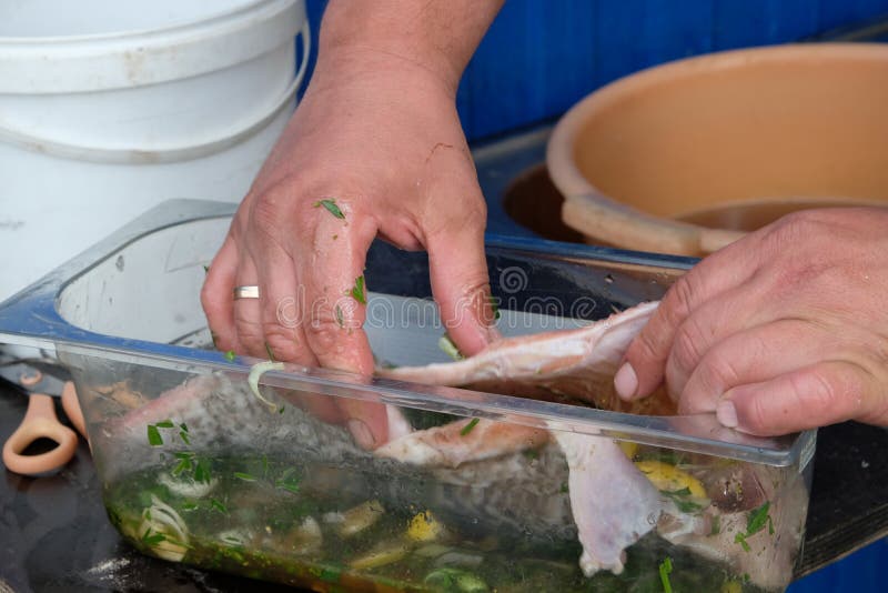 D'abord les poissons devraient imbiber la marinade image stock D'abord les poissons devraient imbiber la marinade image stock
