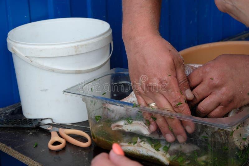 D'abord les poissons devraient imbiber la marinade images libres de droits D'abord les poissons devraient imbiber la marinade images libres de droits