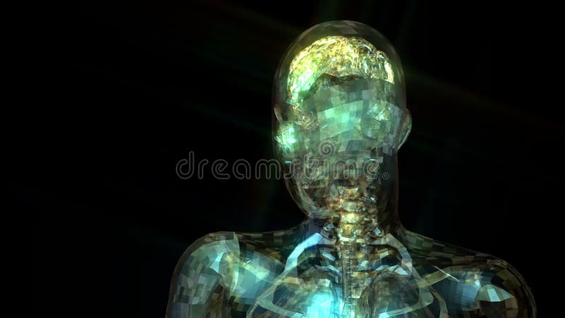 3D Animation of the human Anatomy
