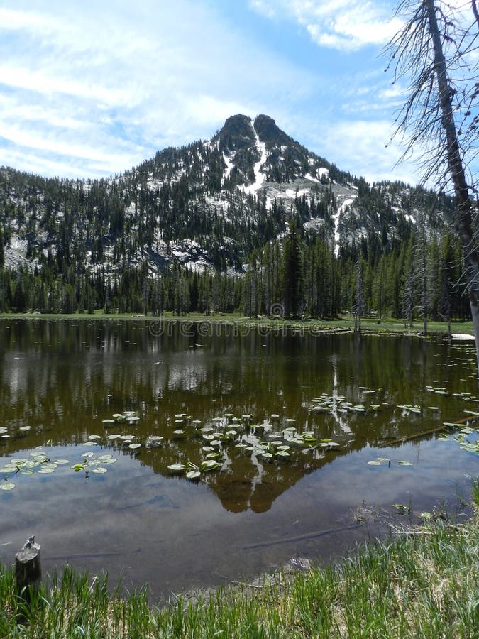 D'Anthony Lakes Water Vue Lilly Image stock Image du orégon, argenté