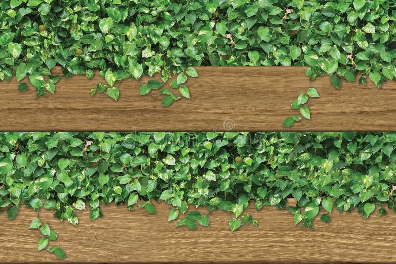 3D ceramic wall tiles. 3D rendering wood and green leaves for wall decor. modern illustration for wall decor.garden interior design. 3D ceramic wall tiles. 3D rendering wood and green leaves for wall decor. modern illustration for wall decor.garden interior design.