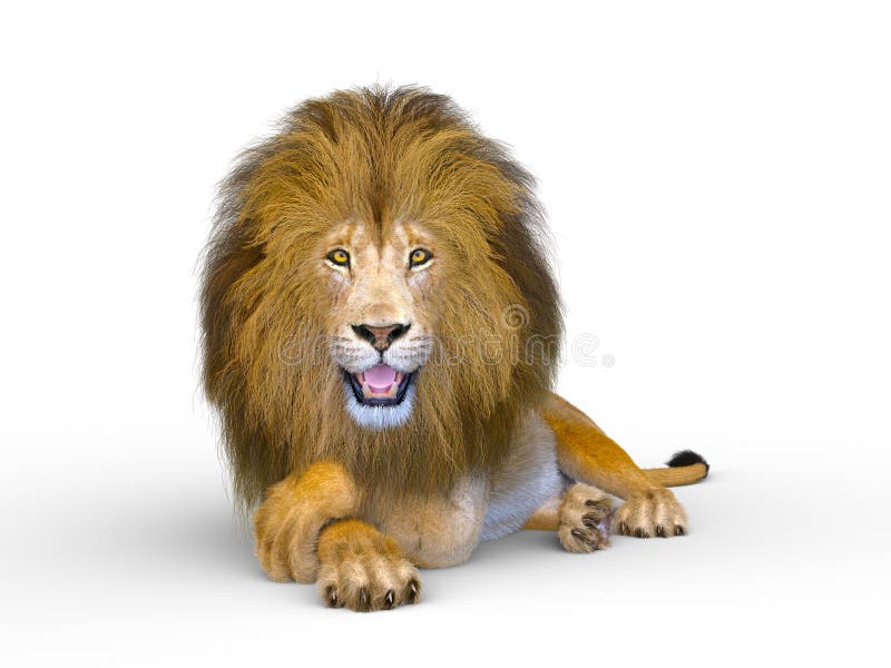 3D CG rendering of Lion stock illustration. Illustration of lion ...