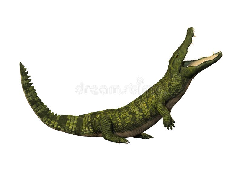 3D che rende coccodrillo verde su bianco