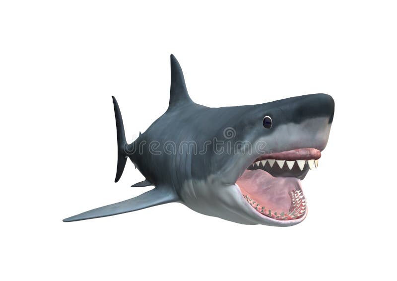 3D che rende lo squalo di Megalodon su bianco