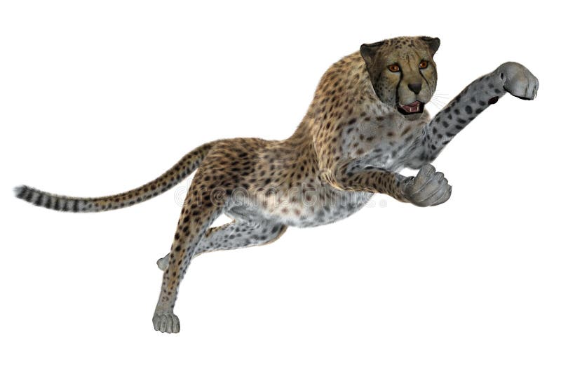 3D cheetah stock image. Illustration of predator, animal - 36338761 3D cheetah stock image. Illustration of predator, animal - 36338761