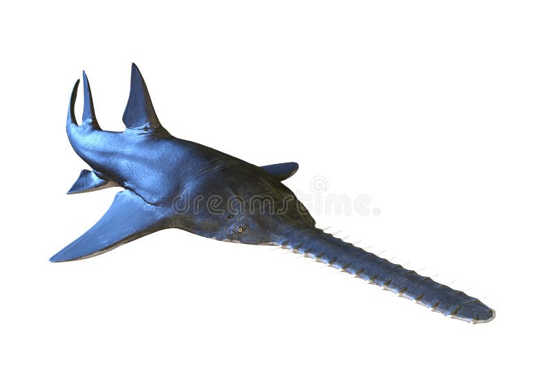 3D, das Onchopristis-Fische auf Weiß überträgt stock abbildung