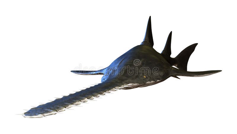 3D, das Onchopristis-Fische auf Weiß überträgt vektor abbildung