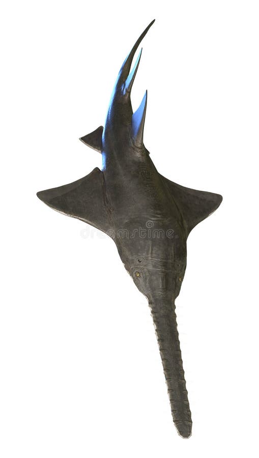 3D, das Onchopristis-Fische auf Weiß überträgt lizenzfreie abbildung