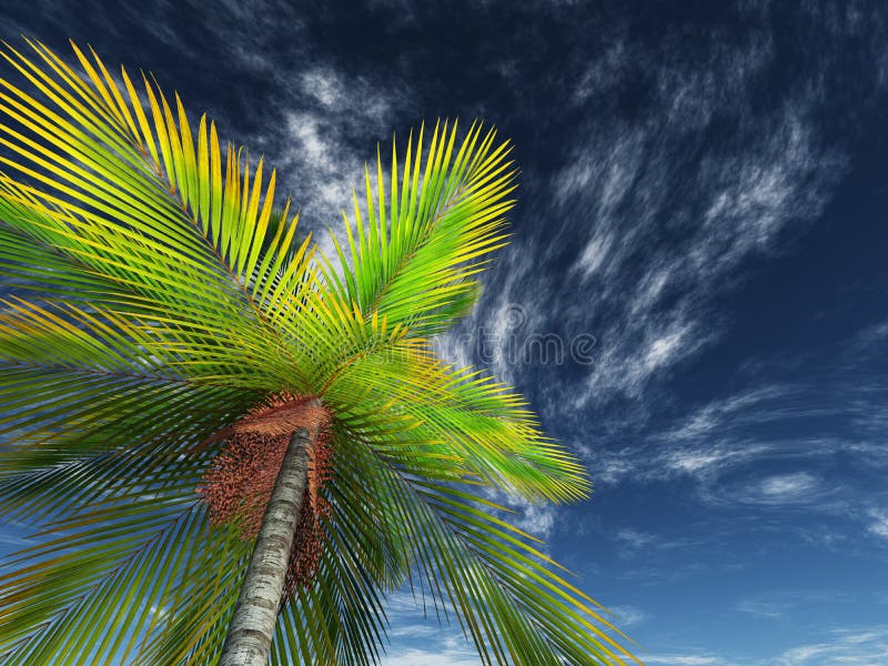 3D geef van het kijken terug omhoog een palm naar de hemel royalty-vrije illustratie 3D geef van het kijken terug omhoog een palm naar de hemel royalty-vrije illustratie