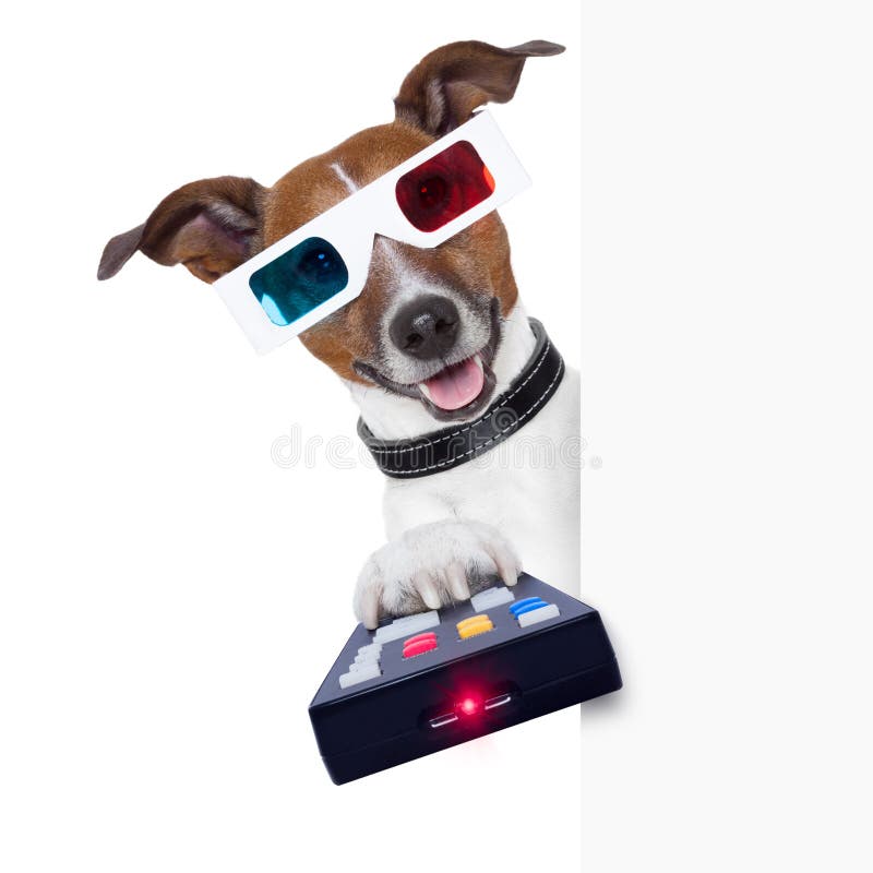 3d glasses movie dog