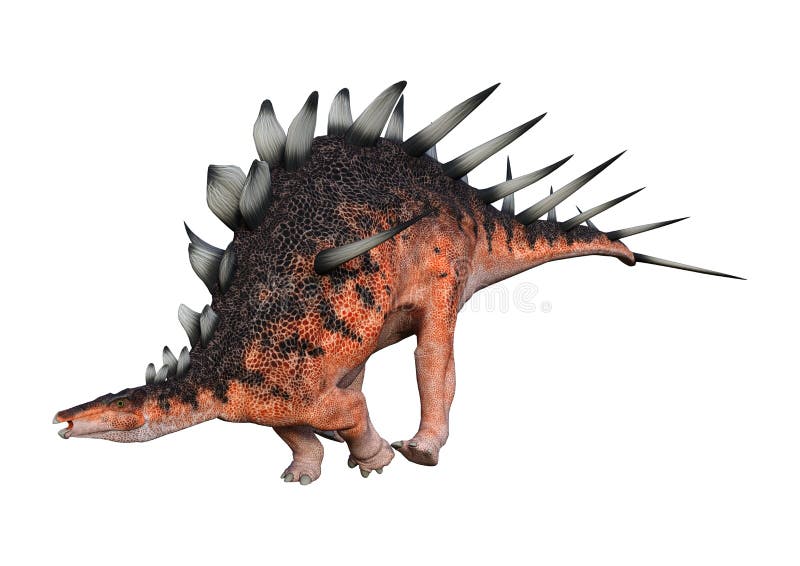 3D het Teruggeven Dinosaurus Kentrosaurus op Wit vector illustratie 3D het Teruggeven Dinosaurus Kentrosaurus op Wit vector illustratie
