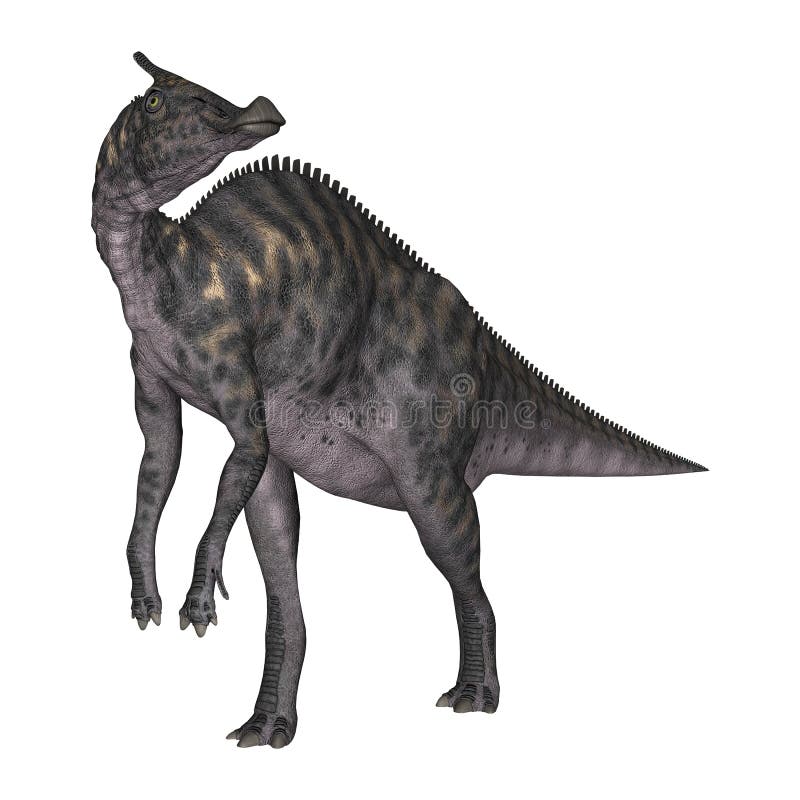 3D het Teruggeven Dinosaurus Saurolophus op Wit stock illustratie 3D het Teruggeven Dinosaurus Saurolophus op Wit stock illustratie