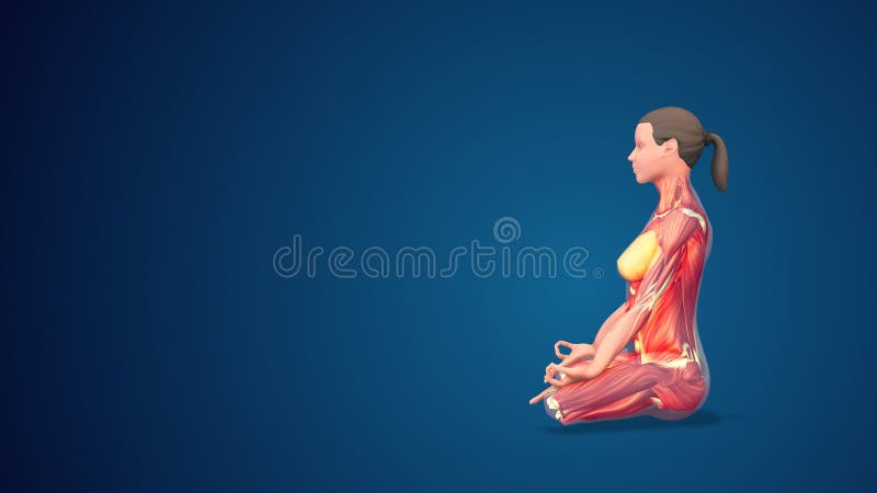 Angle Pose | How to do Konasana Pose | Yoga Benefits | Steps | The Art Of  Living Global