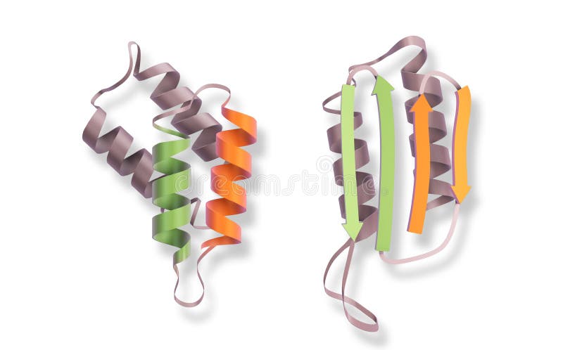3d illustratie rendering. prionen prioneiwitmutatie voor en na. biotechnologisch concept ' gekke - koeienziekte ' van de geneeskun