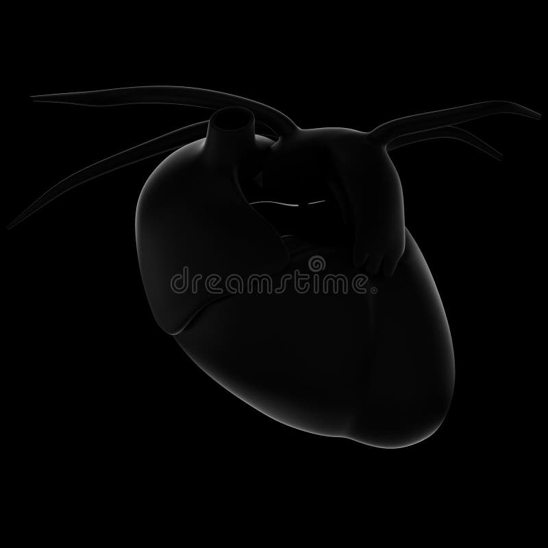3D Illustratie van Menselijk Hart Vooraanzicht, zwarte achtergrond stock illustratie 3D Illustratie van Menselijk Hart Vooraanzicht, zwarte achtergrond stock illustratie