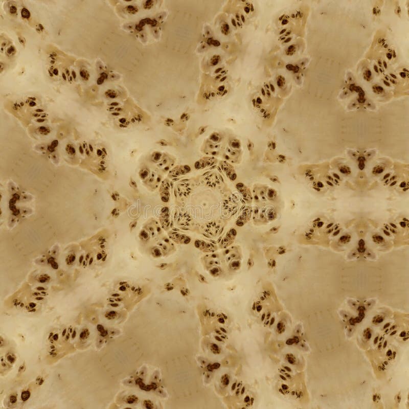 Abstract image of a wooden texture of a poplar root tree royalty free illustration Abstract image of a wooden texture of a poplar root tree royalty free illustration