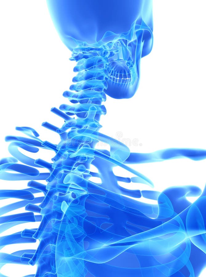 3D Illustration Of Cervical Spine, Medical Concept. Stock Illustration ...