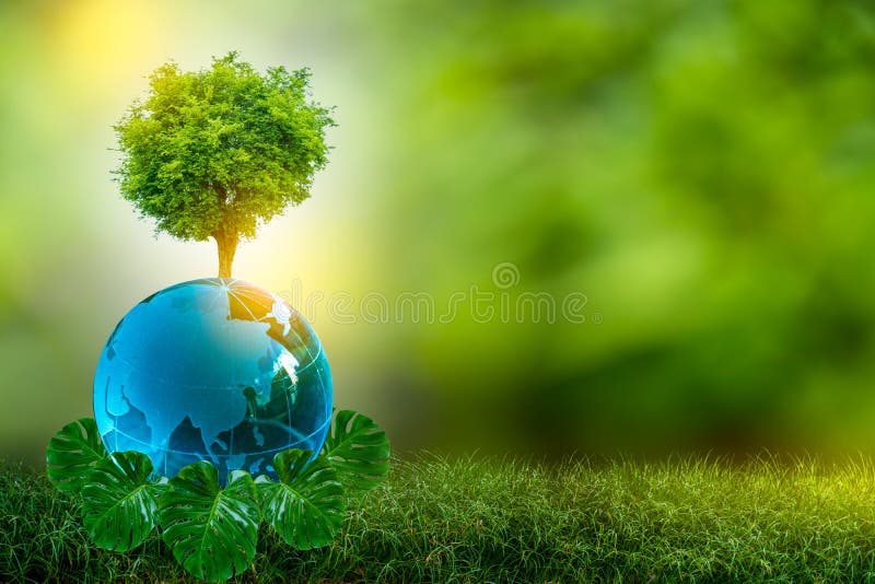 3D illustration Renewable energy concept Earth Day or environmental protection Protect the forests that grow on the ground and help save the planet. 3D illustration Renewable energy concept Earth Day or environmental protection Protect the forests that grow on the ground and help save the planet