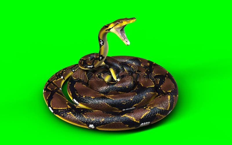 biggest-species-stock-illustrations-323-biggest-species-stock