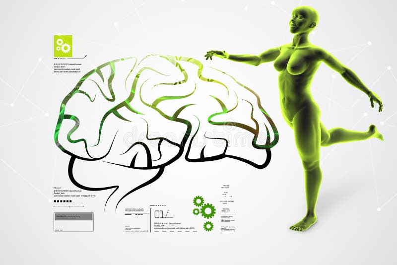3d illustration of Human brain with female royalty free illustration 3d illustration of Human brain with female royalty free illustration