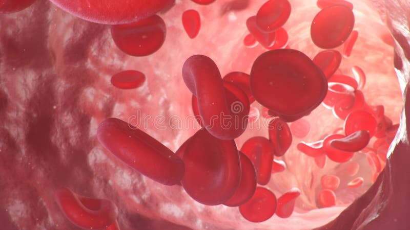 3d Illustration of Red Blood Cells Inside an Artery, Vein. the Flow of
