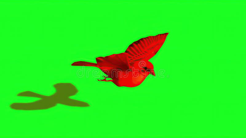 reparatøren Habitat Civic Silhouette of Red Sparrow - Green Screen Stock Illustration - Illustration  of eating, gray: 229405694