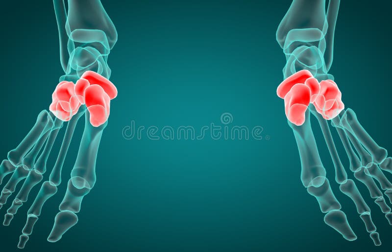 3d human scanner 2 stock illustration. Illustration of hukyache - 14042633