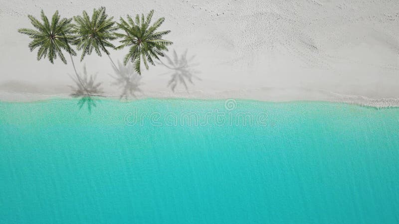 3D-Illustration widok z lotu ptaka piaskowata plaża exuma Bahamas ilustracja wektor