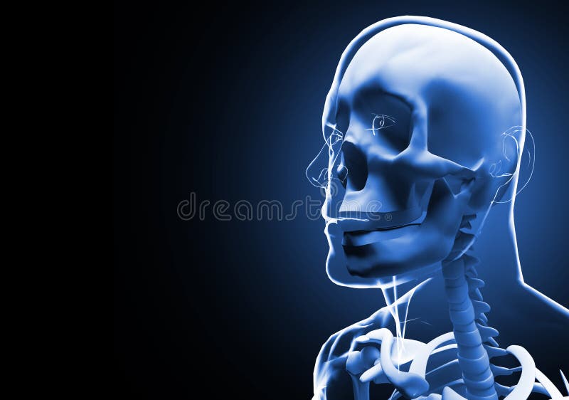 3D Illustration of Xray Human Head and Neck Stock Illustration