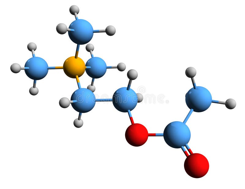 3D Image of Acetylcholine Skeletal Formula Stock Illustration