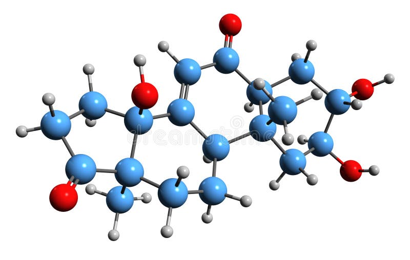 Rubrosterone stock illustrations 1 rubrosterone stock illustrations