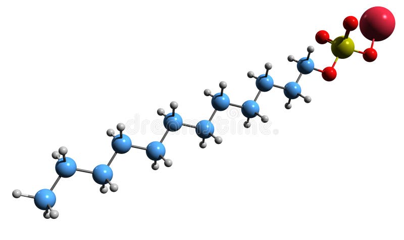 Sodium dodecyl sulfate SDS , sodium lauryl sulfate SLS molecule. It is an  anionic surfactant used in cleaning and hygiene products. Structural  chemica Stock Vector Image & Art - Alamy