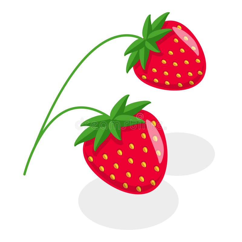 3D Isometric Flat Vector Set of Berries. Item 6 vector illustration