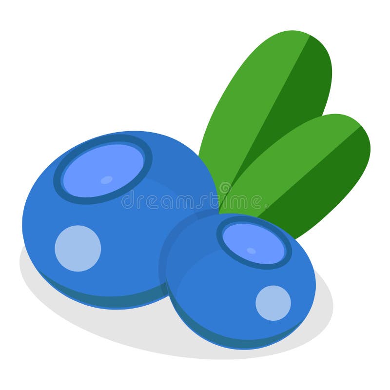3D Isometric Flat Vector Set of Berries. Item 10 vector illustration