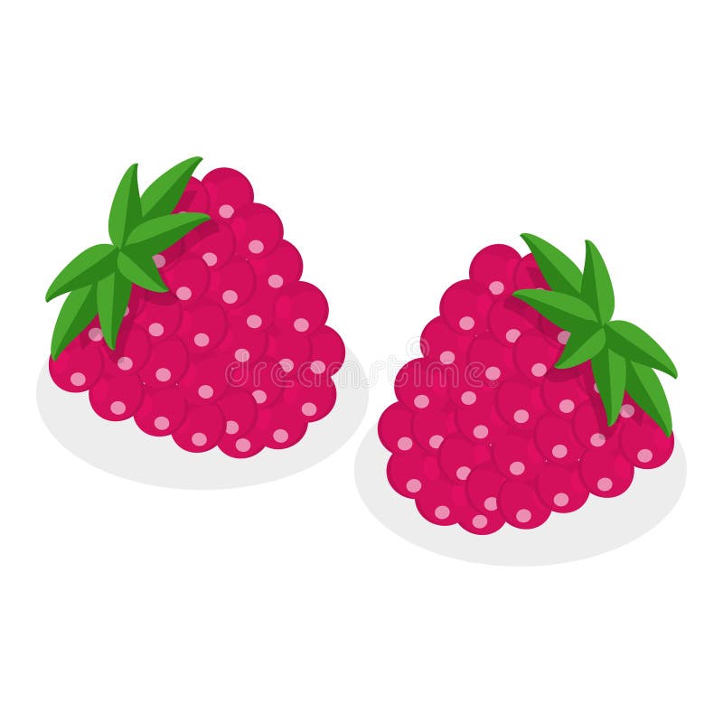 3D Isometric Flat Vector Set of Berries. Item 12 vector illustration
