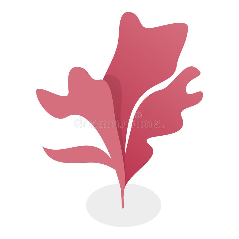 3D Isometric Flat Vector Set of Seaweeds. Item 5 vector illustration