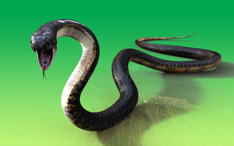 3d King cobra snake