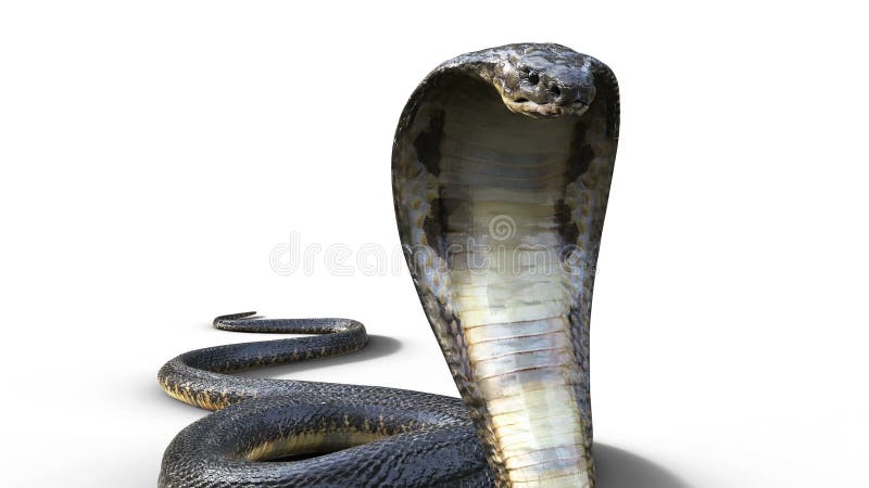 3D Snake Images – Browse 24,690 Stock Photos, Vectors, and Video