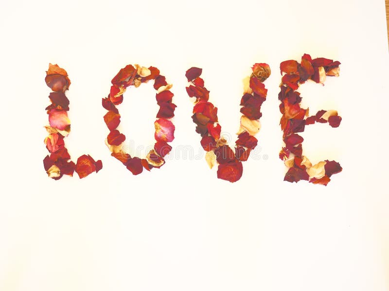 3d LOVE written with dried red rose petals