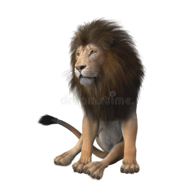 3D Male Lion Sitting and Looking To One Side Stock Illustration ...