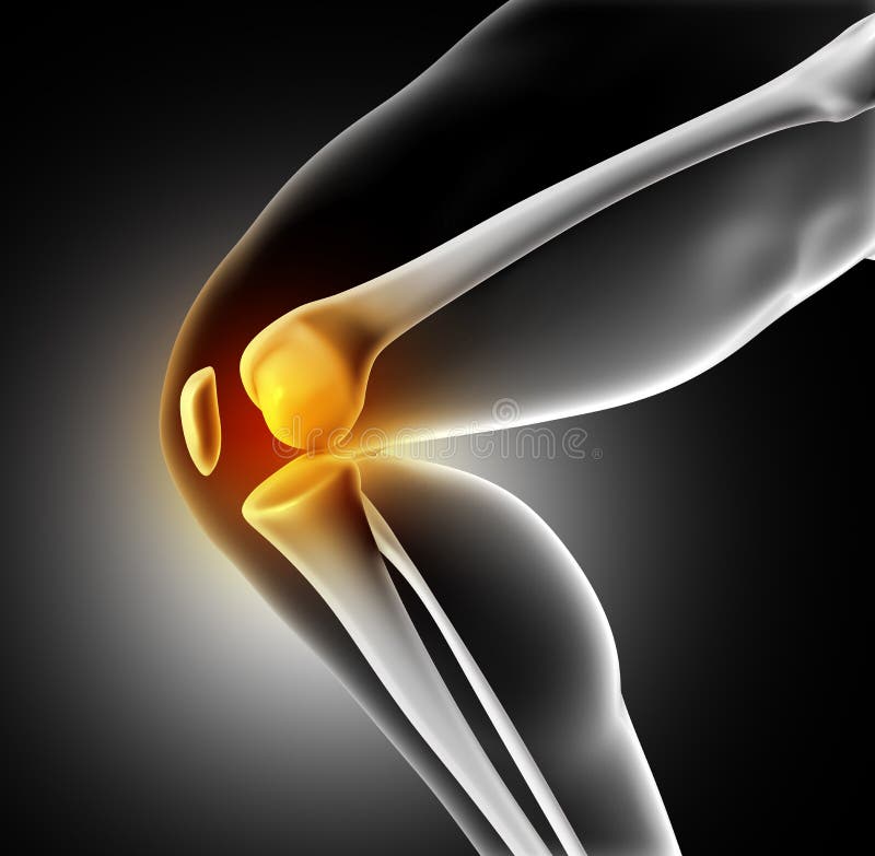 3D medical image of knee bone vector illustration