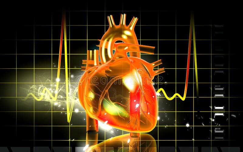 3D heart vector illustration