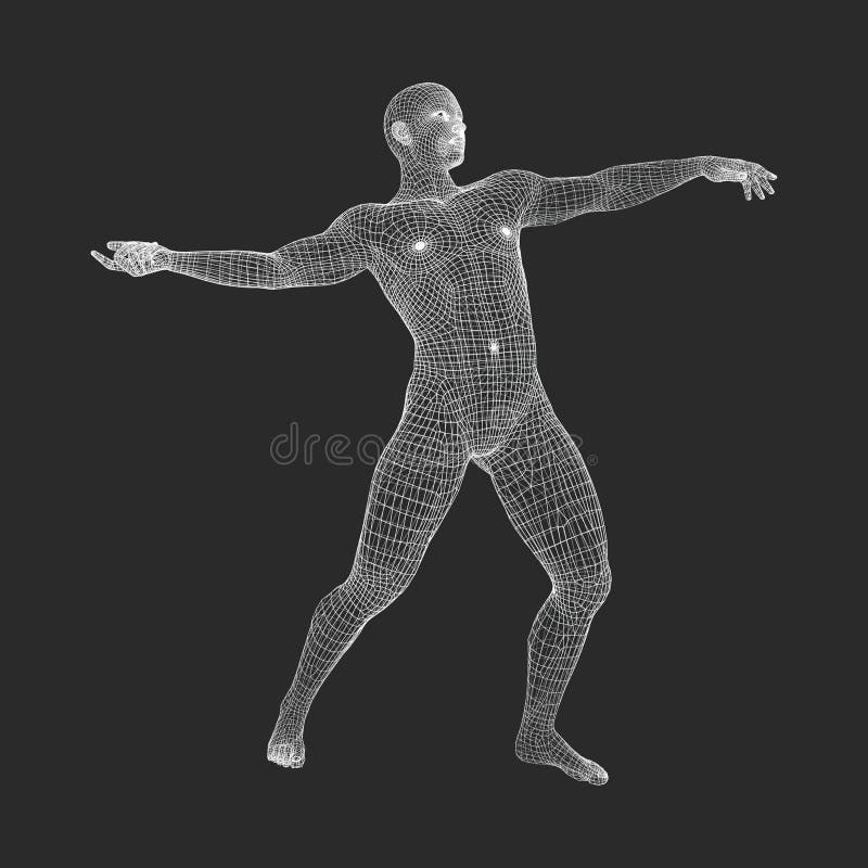 Human Body Modeling Stock Illustrations 919 Human Body Modeling Stock