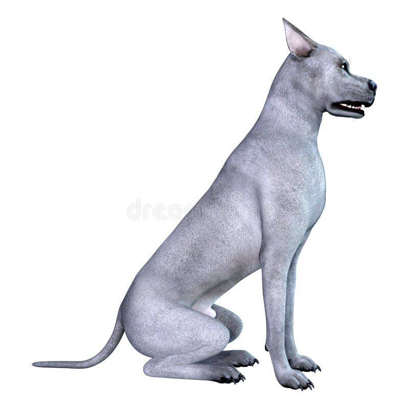 3D Odp? aca si? B?? kitnego Great Dane psa na bielu ilustracji