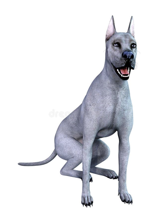 3D Odp? aca si? B?? kitnego Great Dane psa na bielu ilustracji