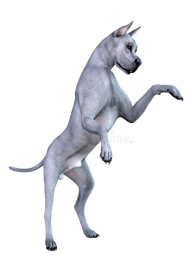 3D Odpłaca się Błękitnego Great Dane psa na bielu royalty ilustracja