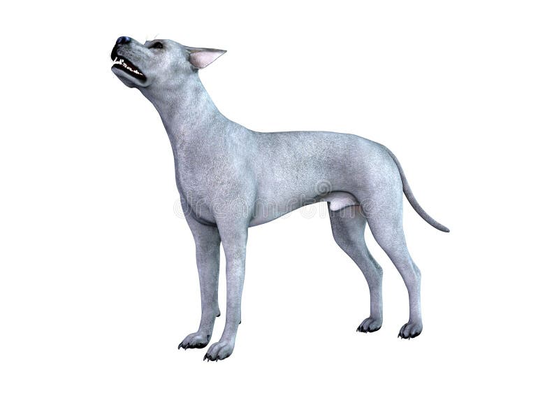 3D Odpłaca się Błękitnego Great Dane psa na bielu ilustracji