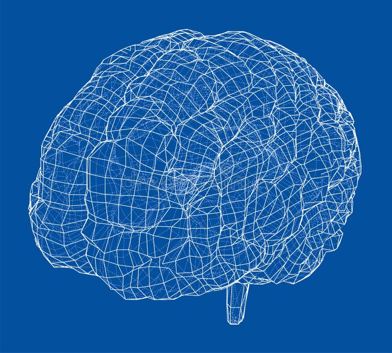 Download 3D Outline Brain. Vector Rendering Of 3d Stock Vector - Illustration of memory, design: 131396191