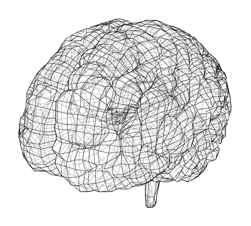Download 3D Outline Brain. Vector Rendering Of 3d Stock Vector ...